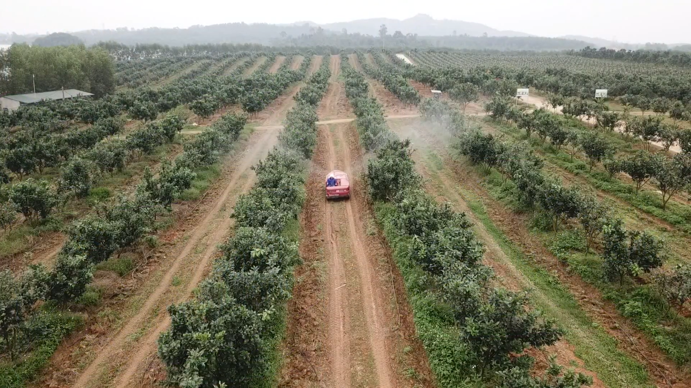 Nông trại Khe Lang Green ở thôn Đất Đỏ của tỉnh Hà Tĩnh